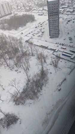 17 февраля 2026