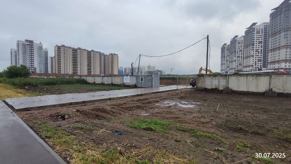31 июля 2025