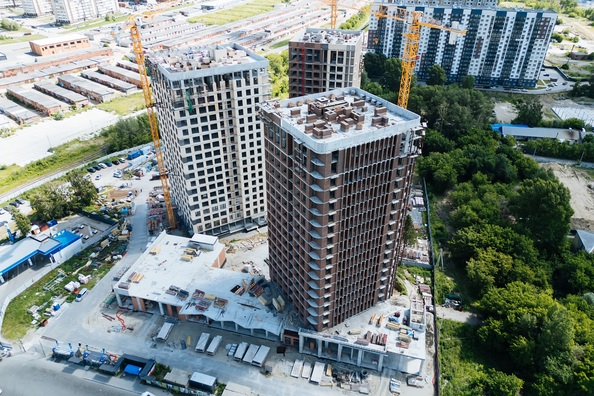 7 июля 2025