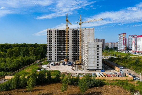 20 августа 2026