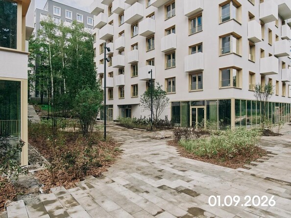 1 сентября 2026