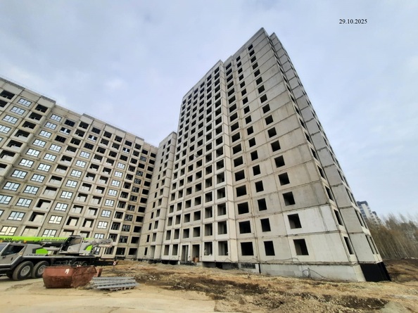 29 октября 2025