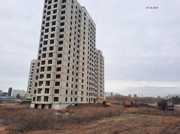 29 октября 2025