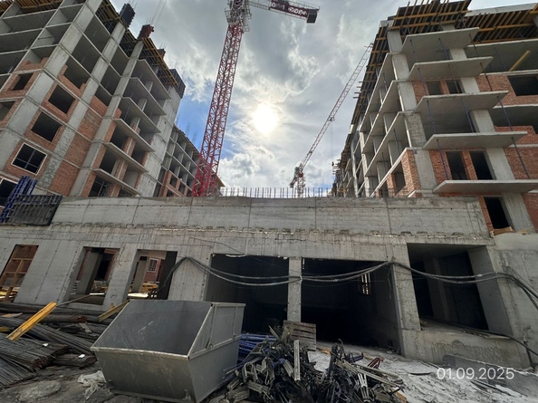1 сентября 2025