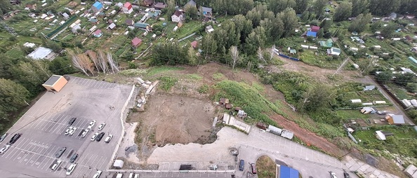 26 июля 2024
