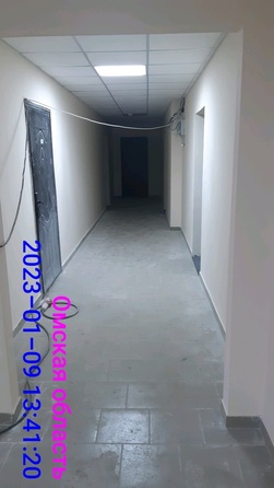11 января 2023