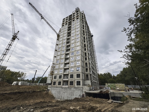 22 августа 2025