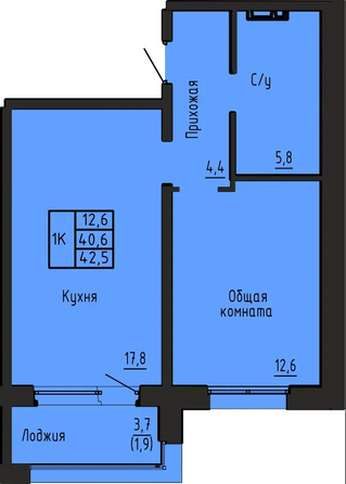 Планировка 1-комн 42,5 м²