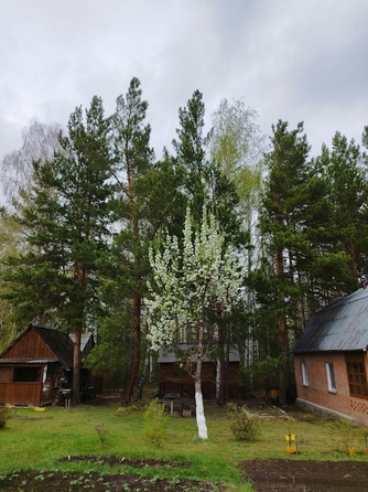 
  Продам дачу, 45 м², деревня Таскино
. Фото 26.