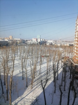 
  Сдам в аренду 1-комнатную квартиру, 52 м², Красноярск

. Фото 11.