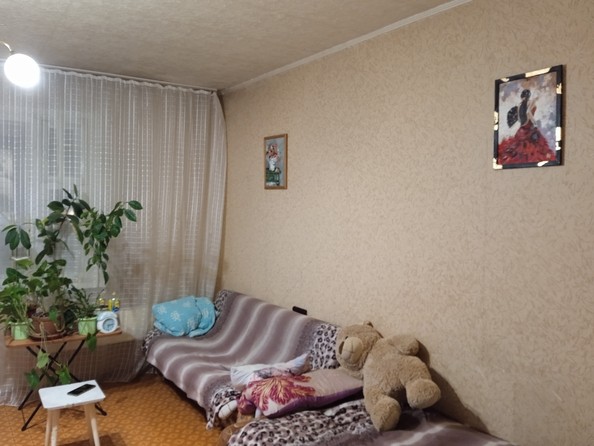 
  Сдам в аренду 1-комнатную квартиру, 40 м², Красноярск

. Фото 3.
