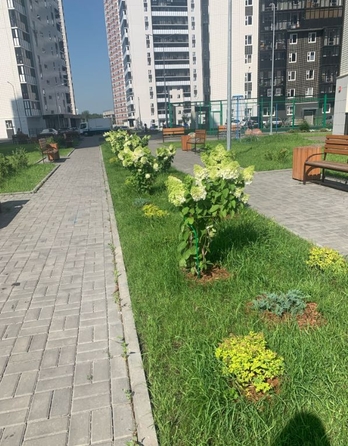 
   Продам 3-комнатную, 78.1 м², Судостроительная ул, 31

. Фото 5.