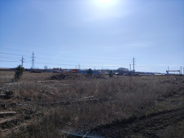 
  Продам  землю сельхозназначения, 100 соток, Березовка пгт

. Фото 14.