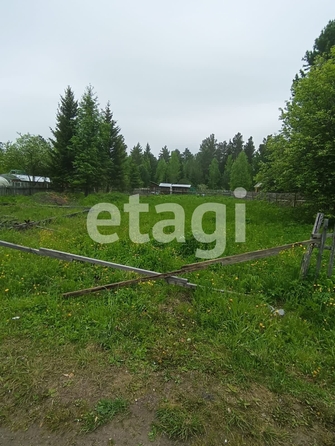 
  Продам  дачный участок, 9.1 соток, Арейское село

. Фото 5.