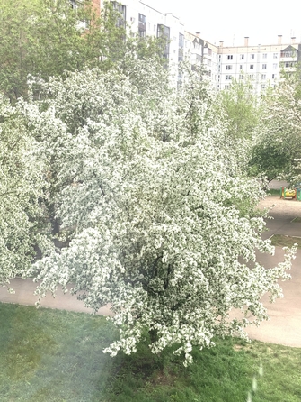 
   Продам 3-комнатную, 63.8 м², Судостроительная ул, 133

. Фото 14.