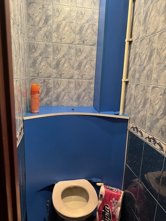 
   Продам 3-комнатную, 59 м², Алеши Тимошенкова ул, 183

. Фото 11.