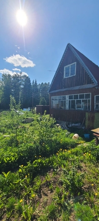 
  Продам дачу, 30 м², станция Рябинино
. Фото 6.