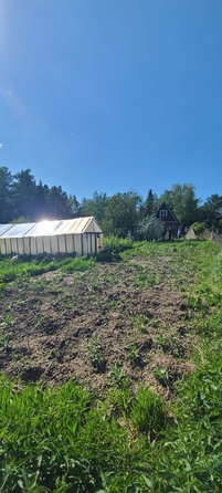 
  Продам дачу, 30 м², станция Рябинино
. Фото 7.