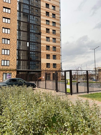
  Сдается 1-комн. квартира, 26.5 м², Мужества ул
. Фото 17.