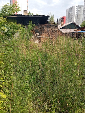 
  Продается земельный участок, 3.91 сотки, Красноярск
. Фото 3.