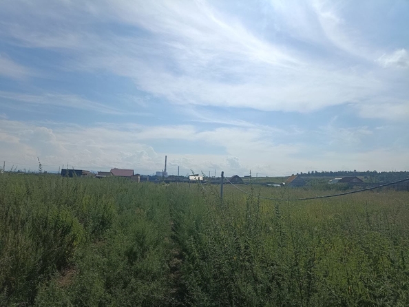 
  Продается земельный участок, 1000 соток, деревня Кубеково
. Фото 5.
