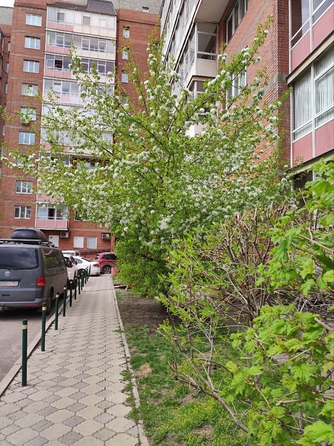 
  Продам 2-комн. квартиру, 61.6 м², Алексеева ул, д. 22
. Фото 16.