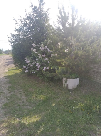 
  Продам дом, 92.9 м², деревня Киндяково
. Фото 15.