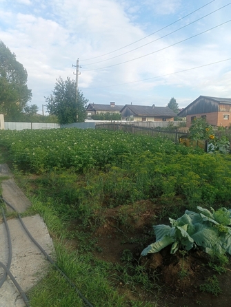 
  Продам дом, 92.9 м², деревня Киндяково
. Фото 17.