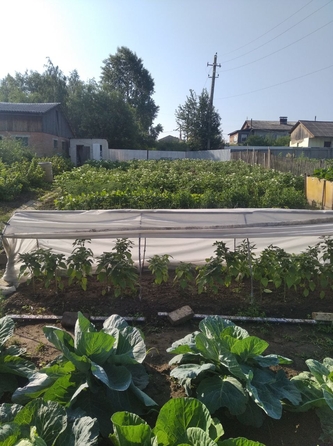 
  Продам дом, 92.9 м², деревня Киндяково
. Фото 22.