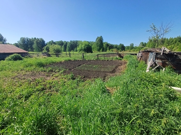 
  Продам дом, 36.5 м², деревня Татьяновка
. Фото 24.