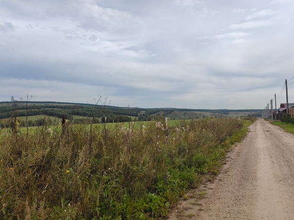 
  Продается земельный участок, 9 соток, ДНТ Заречье
. Фото 2.