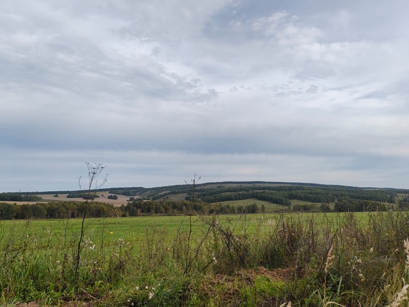 
  Продается земельный участок, 9 соток, ДНТ Заречье
. Фото 7.