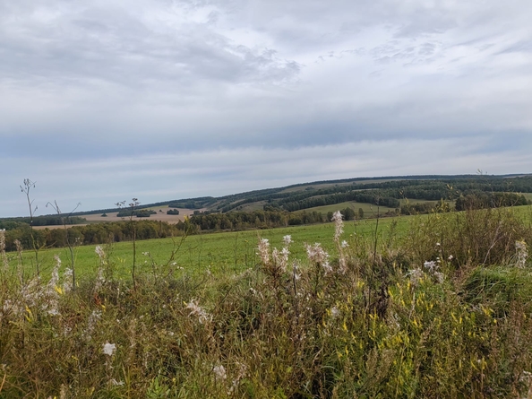 
  Продается земельный участок, 9 соток, ДНТ Заречье
. Фото 9.