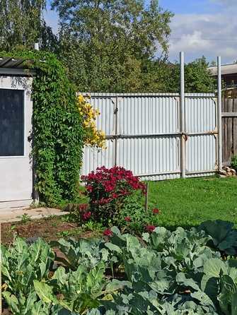 
  Продам земельный участок, 15 соток, Сосновоборск
. Фото 17.