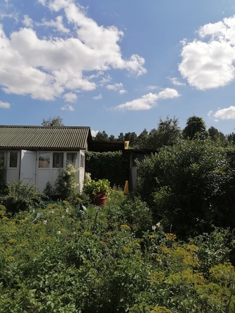 
  Продам дом 38.9 м². Фото 17.
