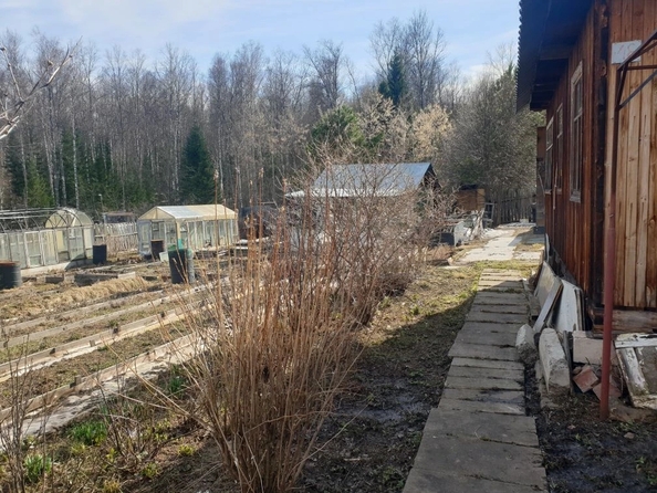
  Продается дача 24 м². Фото 6.