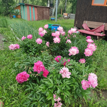 
  Продам дачу 32.7 м². Фото 15.