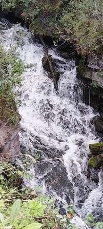 
  Продам дом 38 м². Фото 60.