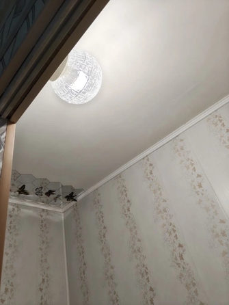 
  Сдам 1-комн. квартиру 12 м². Фото 9.