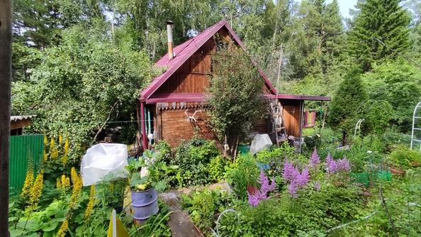 
  Продам дачу 42 м². Фото 30.
