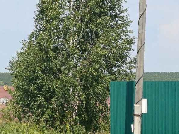 
  Продам земельный участок 16 соток. Фото 5.