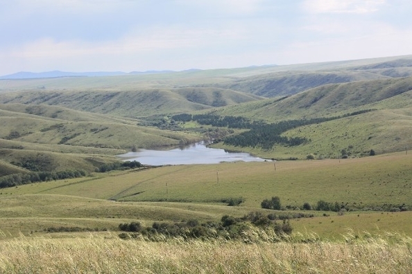 
  Продам  коммерческую землю, 20000 соток, Чинета

. Фото 3.