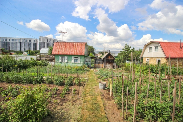 
  Продам  дачный участок, 9.8 соток, Барнаул

. Фото 4.