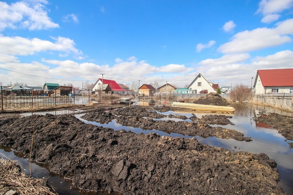 
  Продам  дачный участок, 10 соток, Лебяжье

. Фото 1.