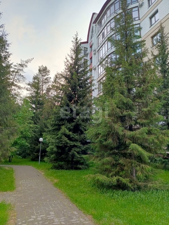 
   Продам 3-комнатную, 124.5 м², Змеиногорский тракт, 102/20

. Фото 3.