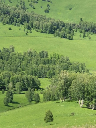 
  Продам  коммерческую землю, 150000 соток, Солонешное

. Фото 8.