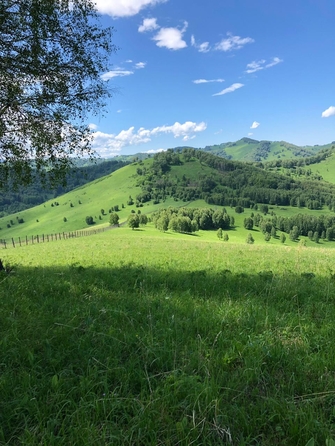 
  Продам  коммерческую землю, 150000 соток, Солонешное

. Фото 14.