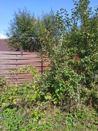 
  Продается дача, 45 м², Барнаул
. Фото 10.