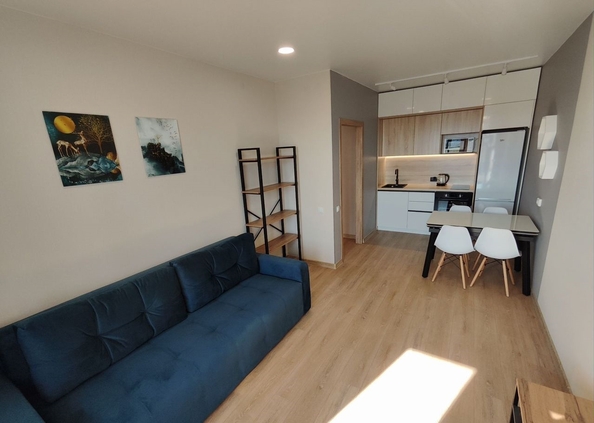 
  Сдам в аренду студию, 27 м², Барнаул

. Фото 1.