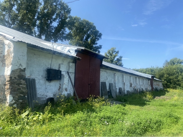 
  Сдается склад, 1200 м², Элеваторная ул, д. 8
. Фото 2.